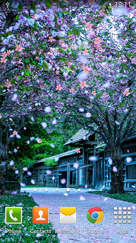 Sakura by orchid apk - free download.