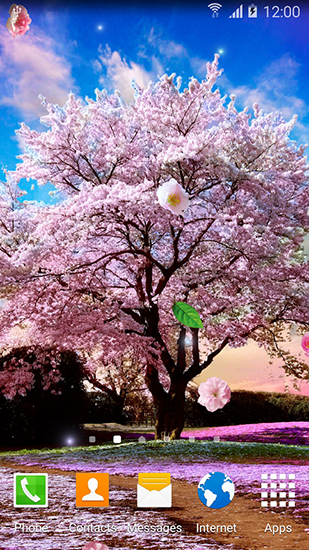 Download livewallpaper Sakura gardens for Android.