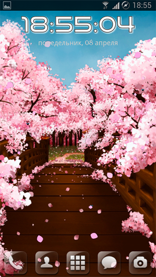 Download Sakura's bridge free livewallpaper for Android phone and tablet.