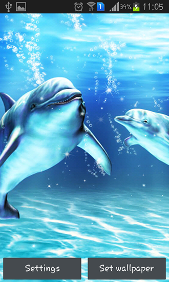 Download Sea dolphin free livewallpaper for Android 4.4 phone and tablet.