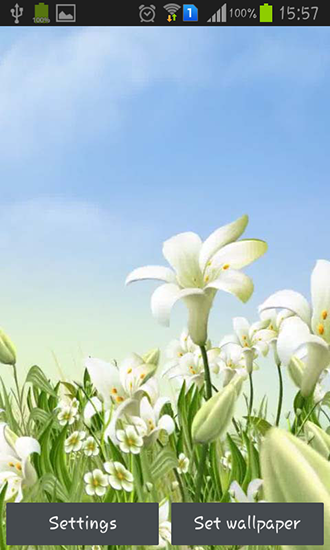 Download Sea lilies free Flowers livewallpaper for Android phone and tablet.