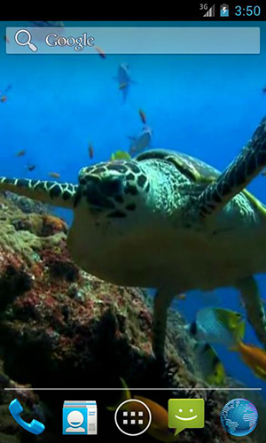 Download livewallpaper Sea turtle for Android.