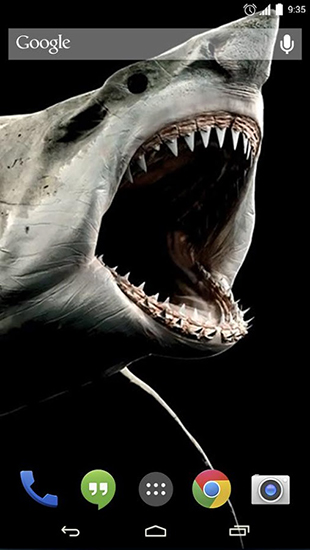 Download livewallpaper Shark 3D for Android.