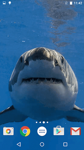 Sharks by Fun Live Wallpapers apk - free download.
