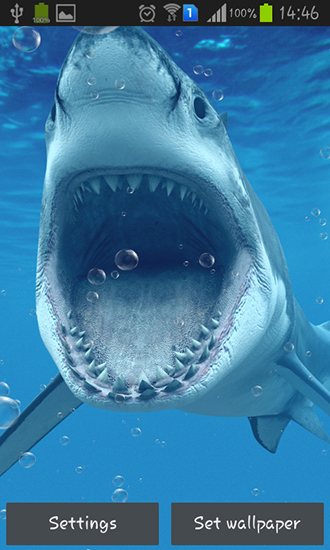 Download livewallpaper Sharks for Android.