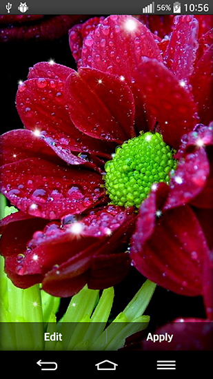 Download livewallpaper Shiny flowers for Android.