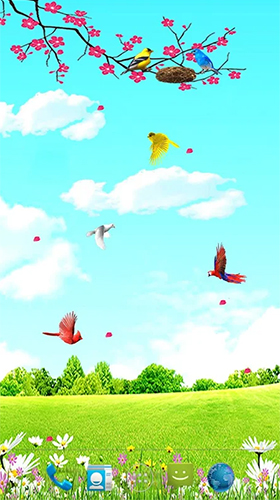 Sky birds apk - free download.
