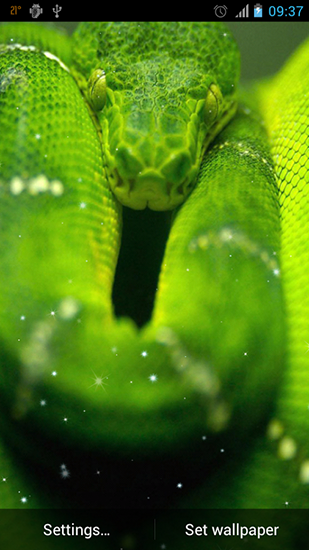 Download Snake free livewallpaper for Android 2.1 phone and tablet.