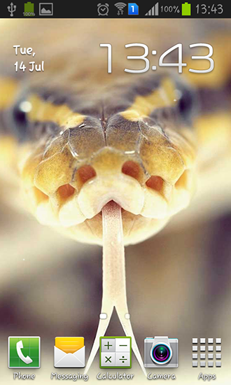 Download Snakes free livewallpaper for Android 4.0.4 phone and tablet.