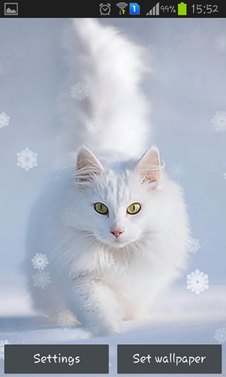 Download livewallpaper Snow cats for Android.