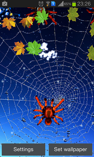 Download Spider free livewallpaper for Android 4.4.4 phone and tablet.