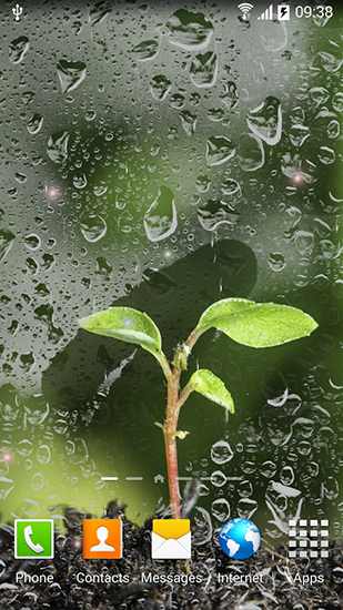 Download livewallpaper Spring for Android.