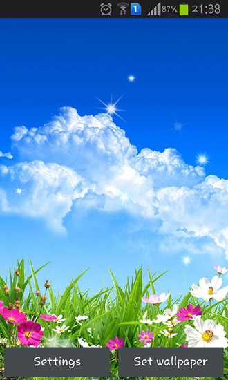 Download livewallpaper Spring flower for Android.