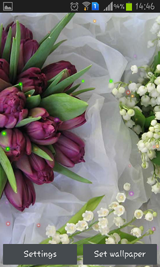 Download Springs lilie and tulips free Interactive livewallpaper for Android phone and tablet.