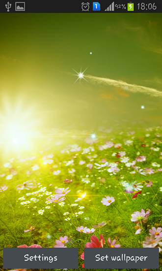 Download livewallpaper Spring meadow for Android.
