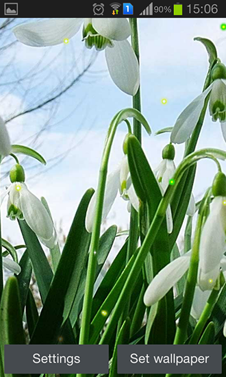 Download Spring snowdrop free livewallpaper for Android 4.4.4 phone and tablet.