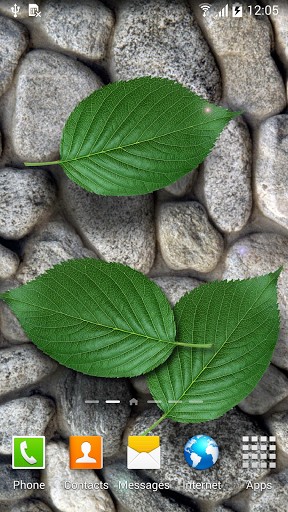 Download Stones in water free Plants livewallpaper for Android phone and tablet.