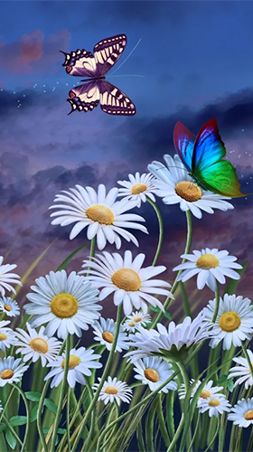 Summer: flowers and butterflies apk - free download.