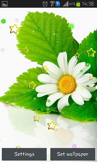 Download Summer camomile free livewallpaper for Android 4.0.2 phone and tablet.