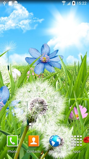 Download livewallpaper Summer flowers for Android.