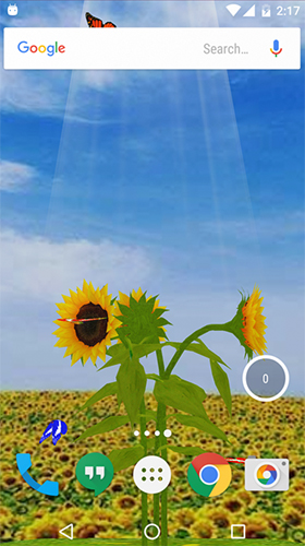 Sunflower 3D apk - free download.
