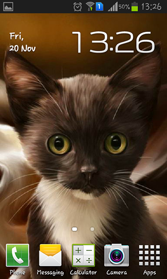 Download livewallpaper Surprised kitty for Android.