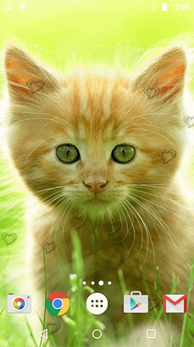 Сute kittens apk - free download.