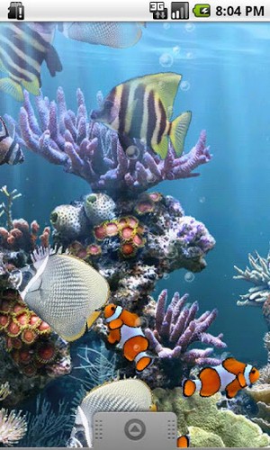 Download livewallpaper The real aquarium for Android.