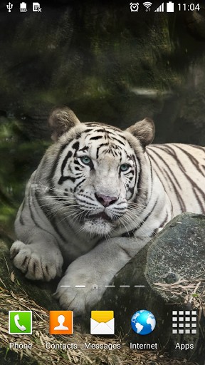 Download livewallpaper Tiger by Amax LWPS for Android.