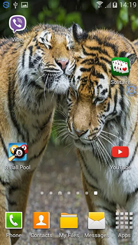 Download livewallpaper Tigers: shake and change for Android.