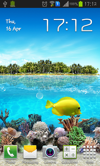 Download Tropical ocean free livewallpaper for Android 5.0 phone and tablet.
