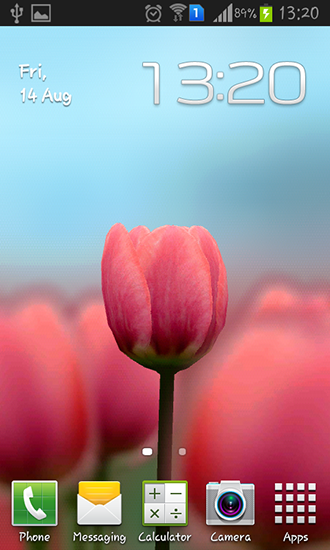 Download livewallpaper Tulip 3D for Android.