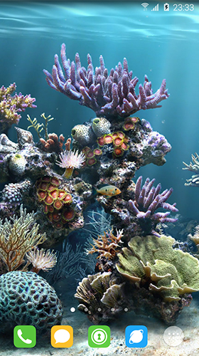 Underwater world by orchid apk - free download.