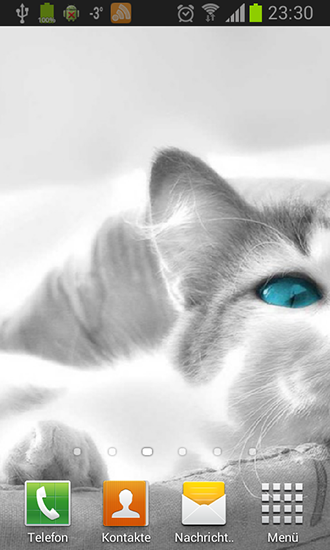 Download livewallpaper White cats for Android.
