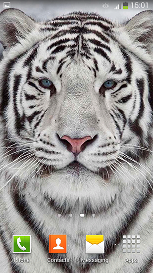 Download livewallpaper White tiger for Android.
