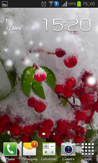 Download livewallpaper Winter berry for Android.