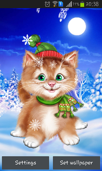 Download livewallpaper Winter cat for Android.
