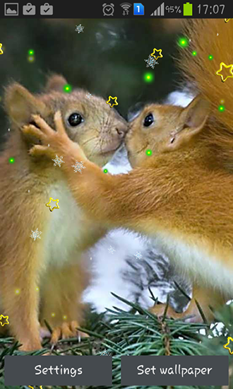 Download livewallpaper Winter squirrel for Android.