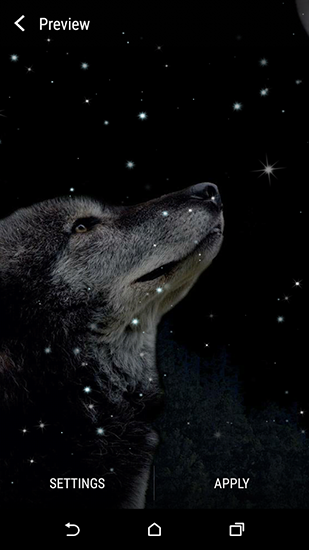 Download livewallpaper Wolf and Moon for Android.