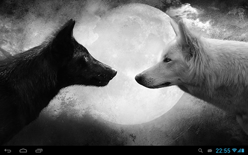 Download livewallpaper Wolves for Android.