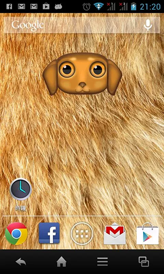 Download Zoo: Dog free livewallpaper for Android 4.4.4 phone and tablet.