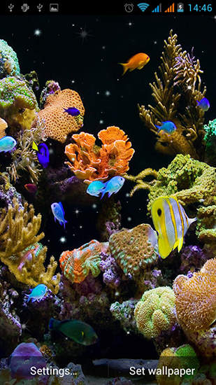 Aquarium by Best Live Wallpapers Free apk - free download.