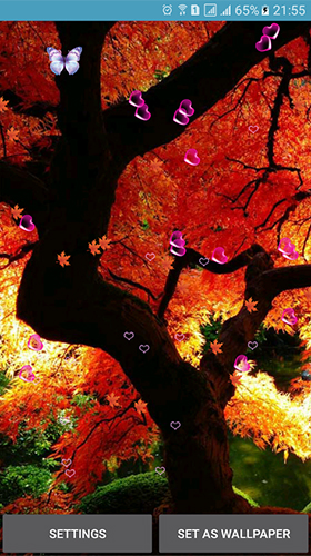 Screenshots of the live wallpaper Autumn by 3D Top Live Wallpaper for Android phone or tablet.