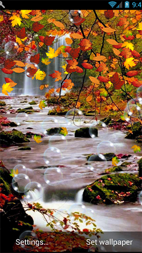Screenshots of the live wallpaper Autumn by minatodev for Android phone or tablet.