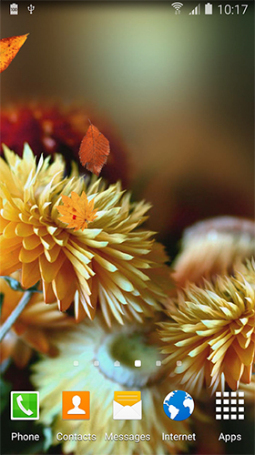 Screenshots of the live wallpaper Autumn flower for Android phone or tablet.