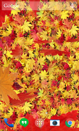 Screenshots of the live wallpaper Autumn Leaves for Android phone or tablet.