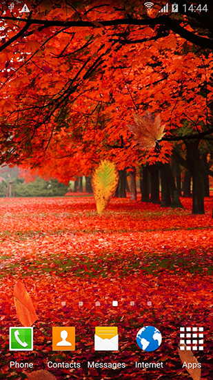 Autumn forest apk - free download.