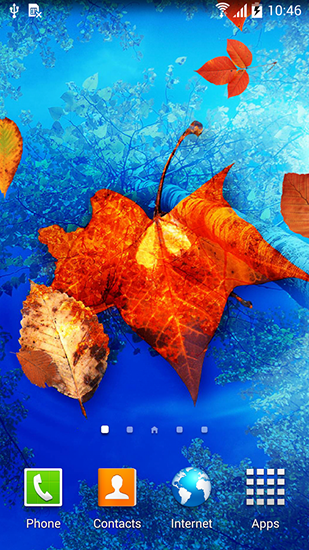 Autumn leaves apk - free download.