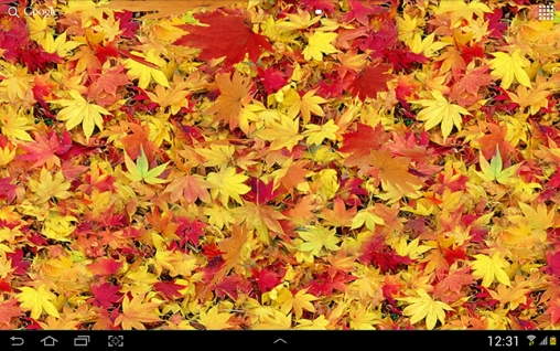 Autumn leaves 3D apk - free download.