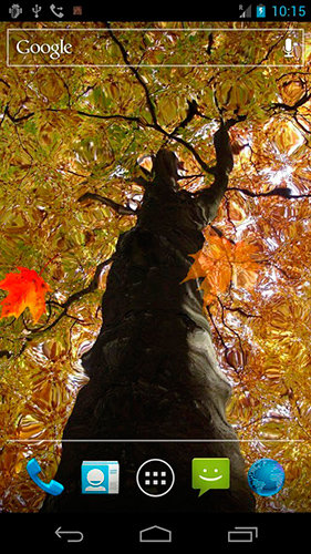 Autumn maple apk - free download.